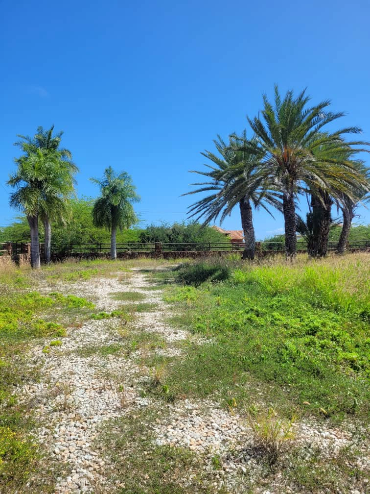 Terreno en Venta en Margarita
