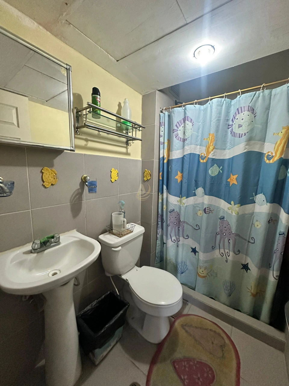 Apartamentos en Venta en Margarita con precio de oportunidad