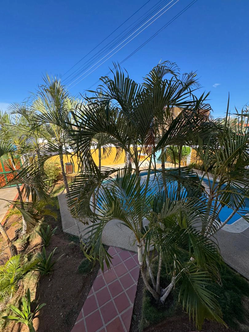 Apartamentos en Venta en Margarita con excelente ubicación