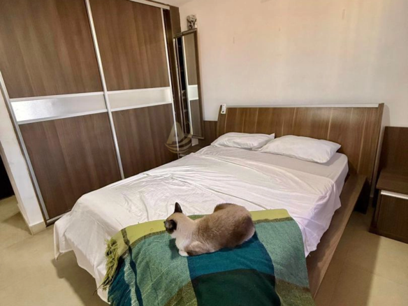 Apartamentos en Venta en Margarita con excelente ubicación