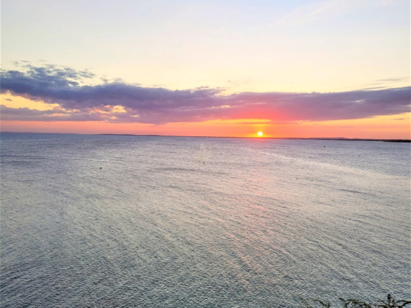 Apartamentos en Venta en Margarita de Lujo