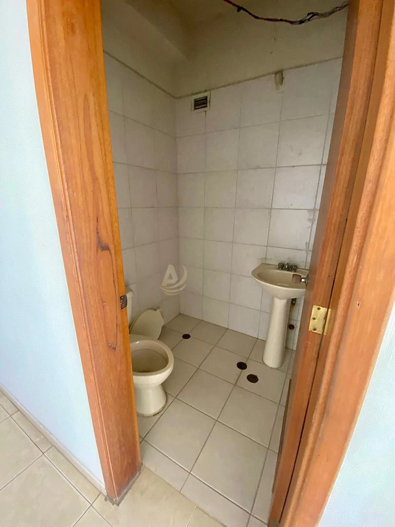 4 Oficina en Alquiler en Margarita Oficina en Alquiler en Margarita