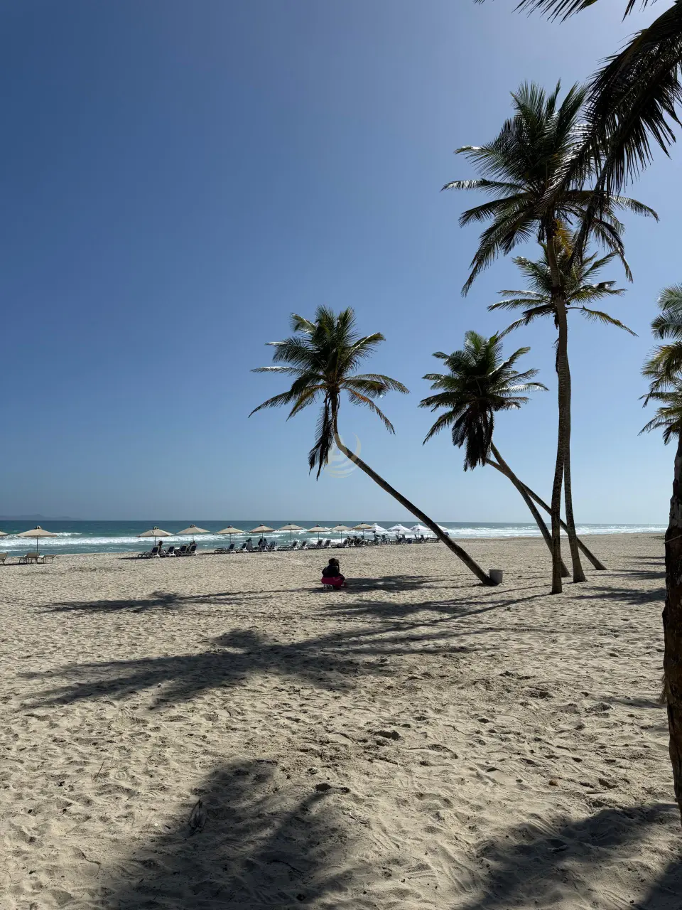 17 Proyecto en Venta en Margarita Proyecto en Venta en Margarita