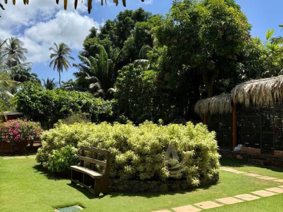 Casas en Alquiler Vacacional en Margarita