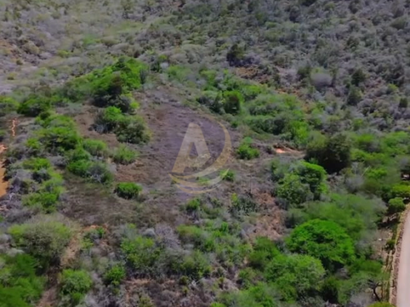 Terreno en Venta en Margarita