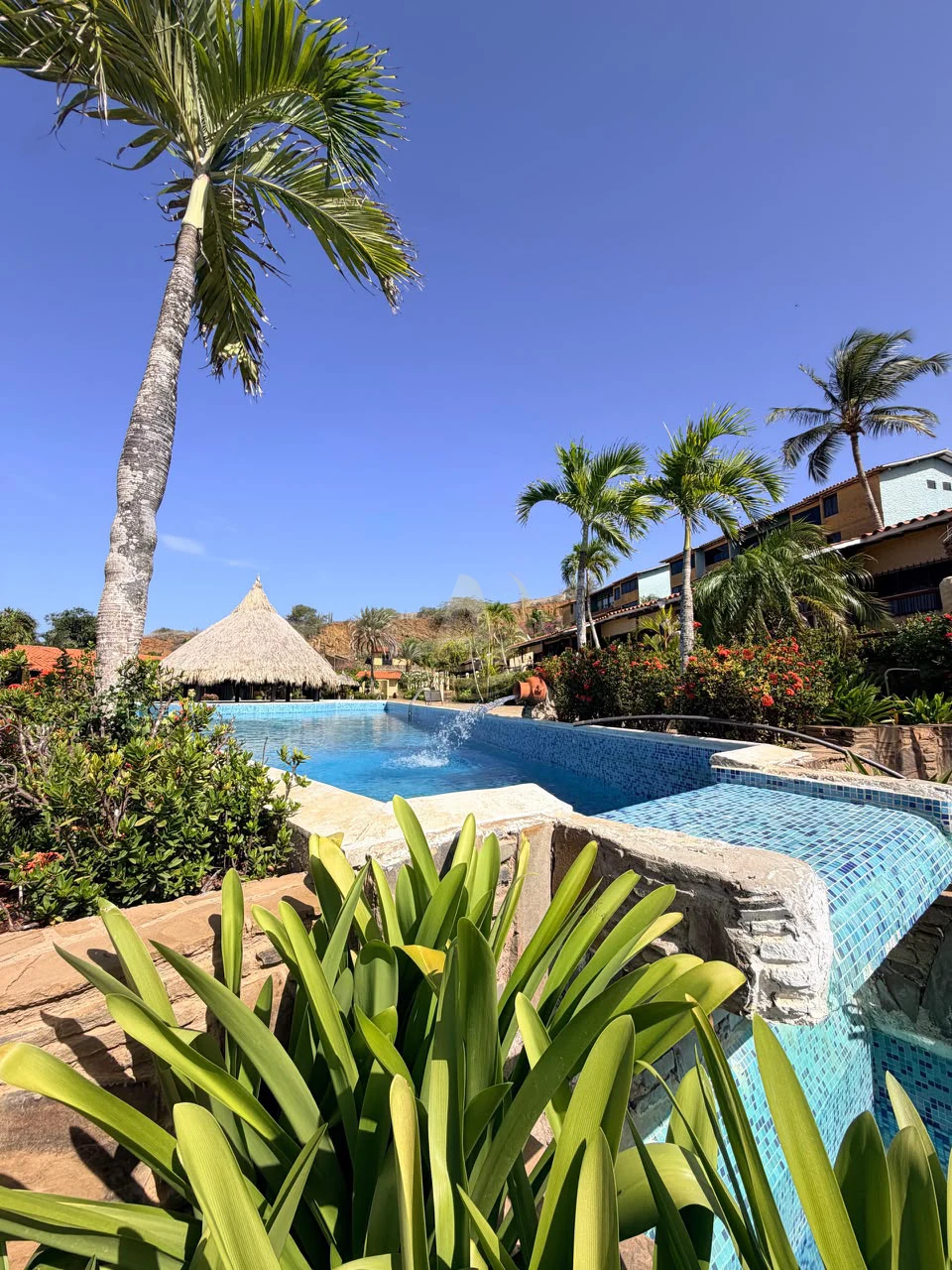 8 Apartamentos en Venta en Margarita con excelente ubicación Apartamentos en Venta en Margarita con excelente ubicación