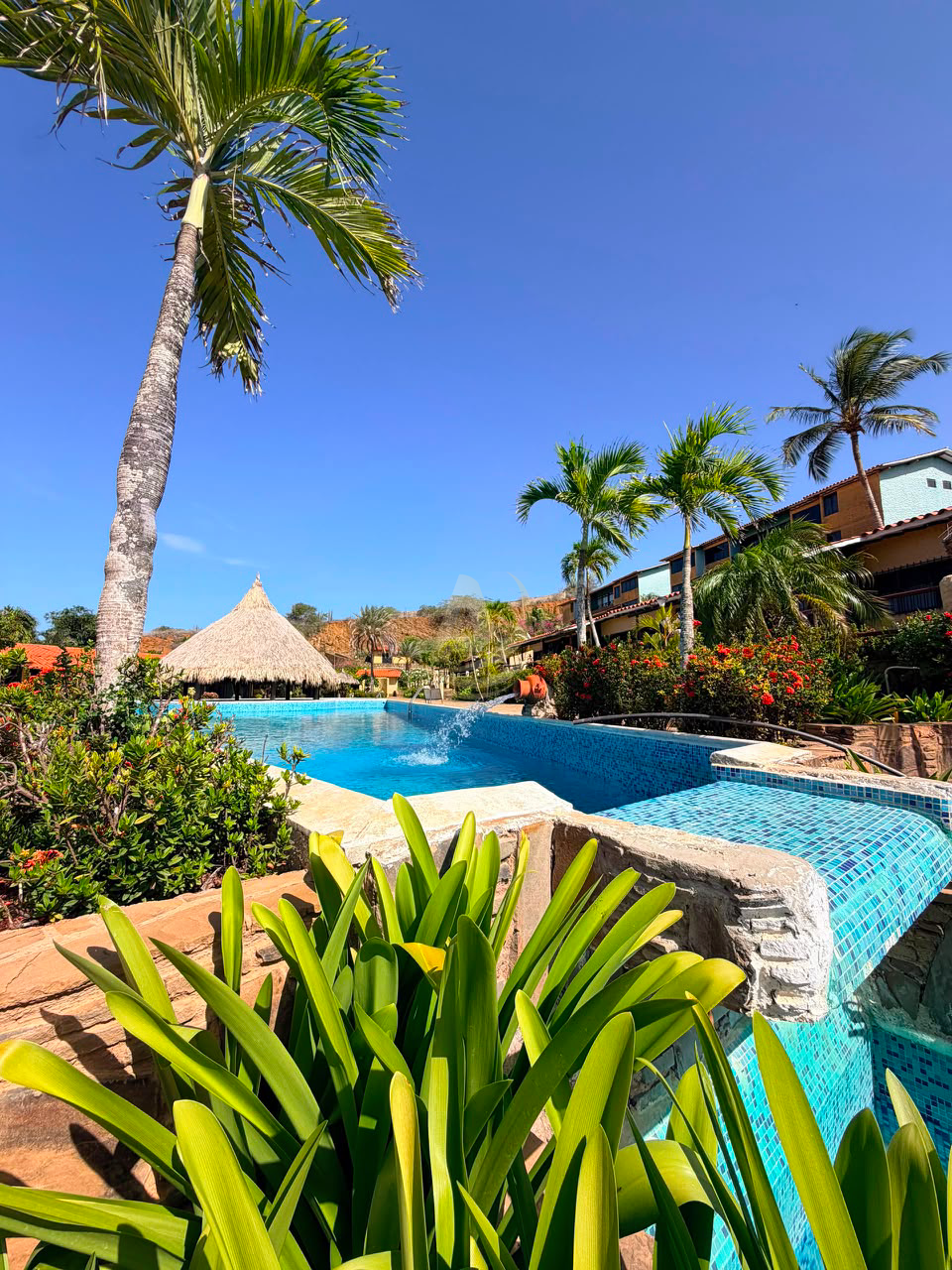 9 Apartamentos en Venta en Margarita con excelente ubicación (1) Apartamentos en Venta en Margarita con excelente ubicación